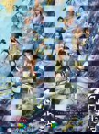 有翡电视剧免费观看完整版