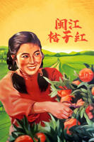 桔子在线观看免费高清电视剧